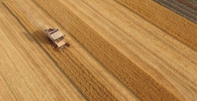 China Development Bank vergibt Kredite zur Unterstützung des Agrarsektors