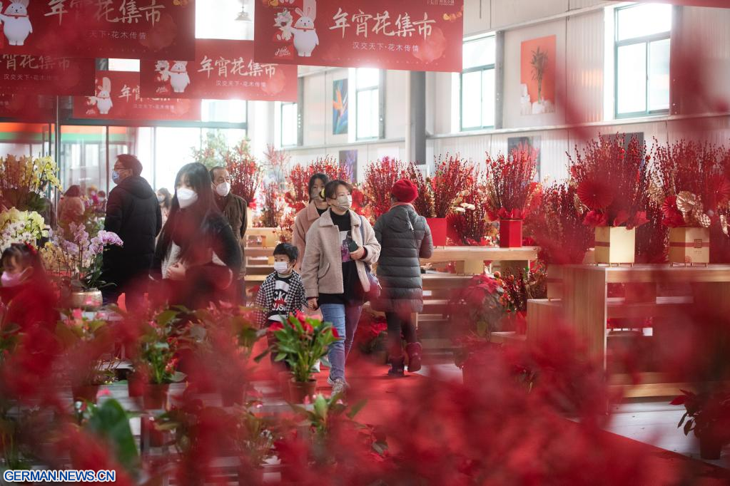 Chinas Verbrauchermarkt belebt sich während des Neujahrsfestes