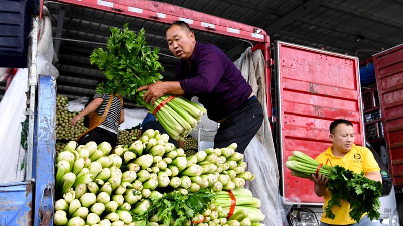 Ausreichende Versorgung mit Gemüse in Henan