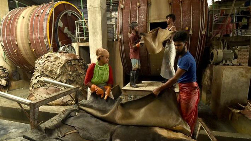 Bangladesch: Arbeiter gerben Tierhäute