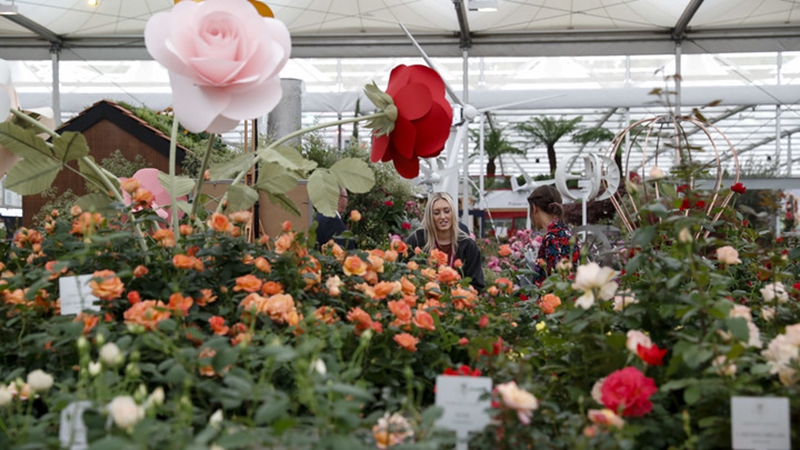 Diesjährige Chelsea Flower Show in London ist eröffnet