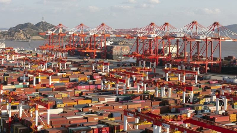 Shanghai verzeichnet starkes Exportwachstum bei Containern und Containerschiffen