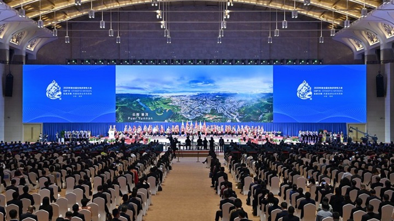 "Erklärung von Kunming" auf COP15 verabschiedet