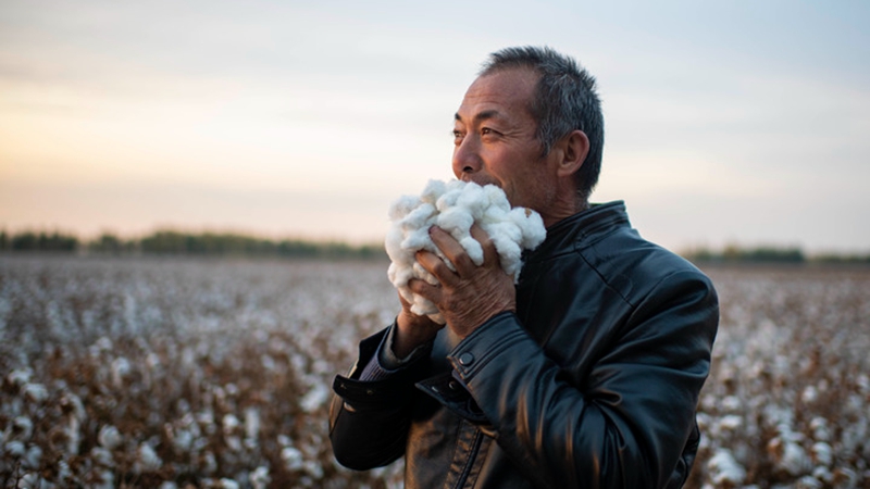 Fotoreportage: Baumwollbauer in Xinjiang steigert Ernte durch Mechanisierung