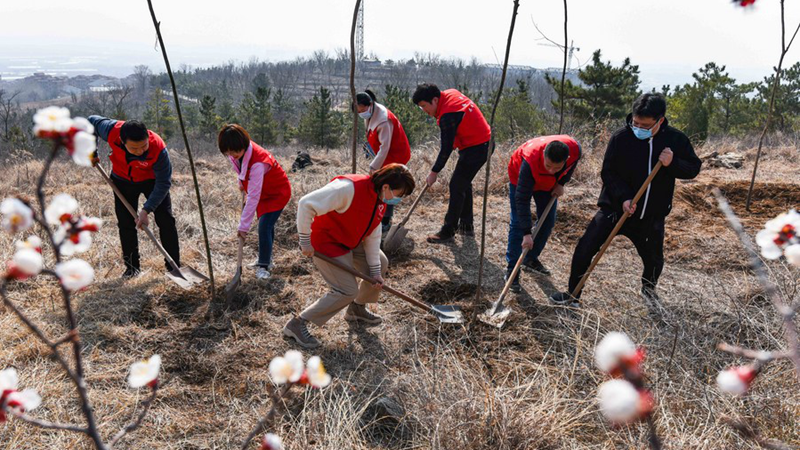 Über fünf Milliarden Bäume in 40 Jahren freiwillig in Guangdong gepflanzt