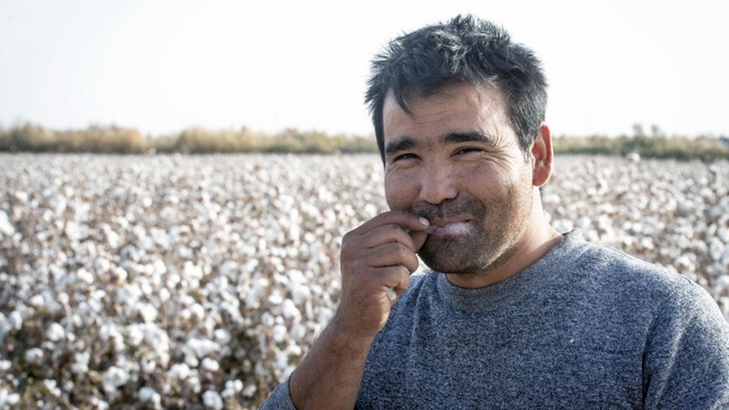 Xinjiangs Baumwollindustrie widerlegt Vorwürfe der "Zwangsarbeit"