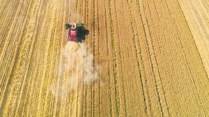 China veröffentlicht Fünfjahresplan zur Modernisierung der Landwirtschaft und des ländlichen Raums