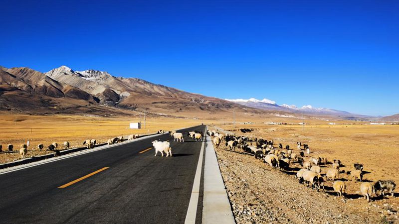 In Bildern: Straßenansicht in Chinas Tibet