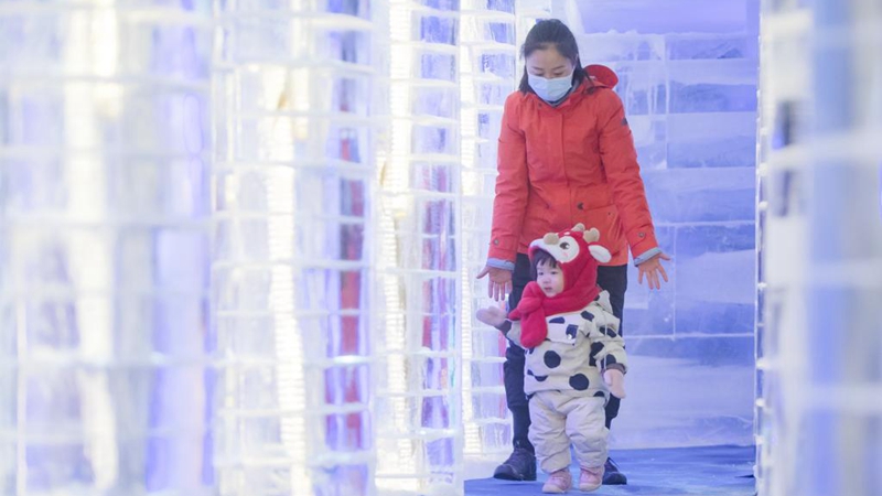 In Bildern: Eis- und Schneekunstfest in Wuhan