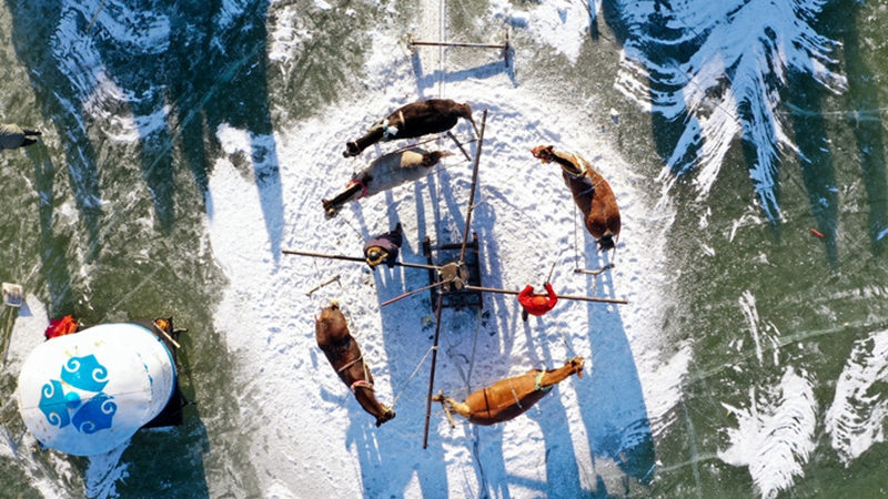 Fotoreportage: Die Tradition des Eisfischens am Chagan-See in China
