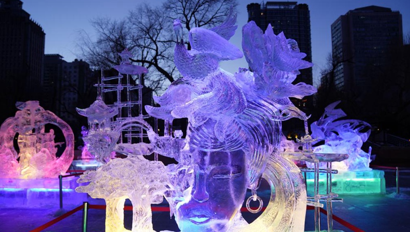 Preisgekrönte Eisskulpturen in Harbin ausgestellt