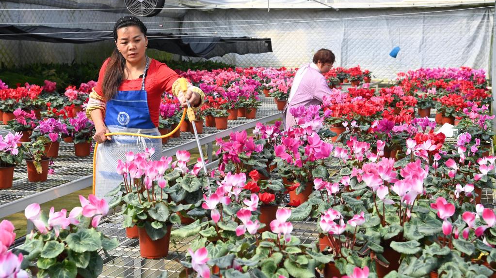 Frühjahrsanbauaktivitäten in Shaanxi im Gange