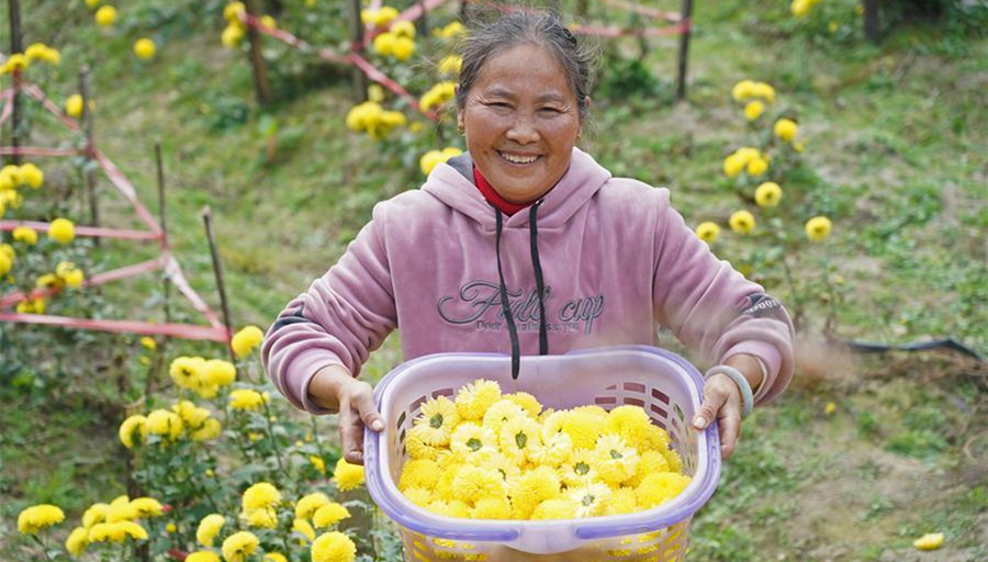 Across China: Bio-Anbau bringt Hoffnung auf grüne Zukunft