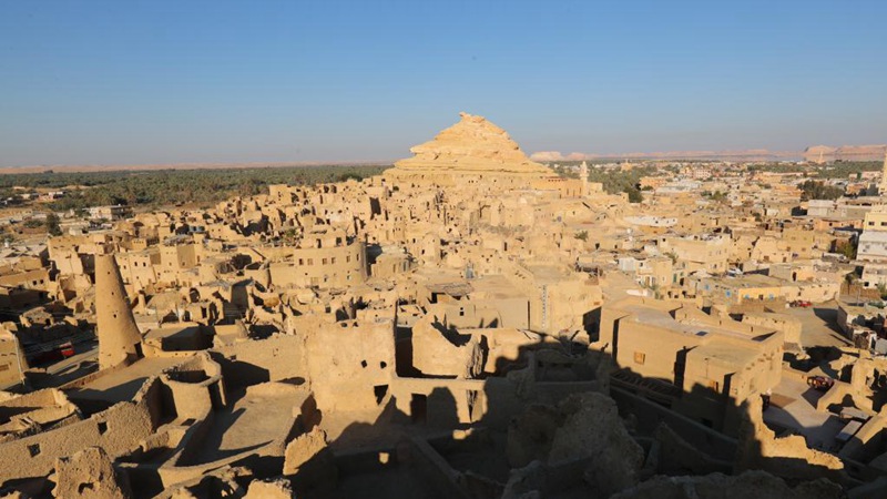 Landschaft der Oase Siwa in Ägypten