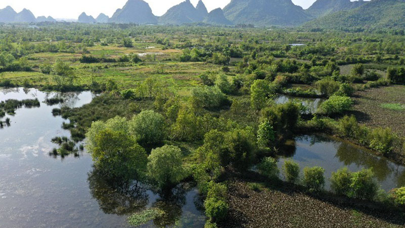 In Bildern: Das Feuchtgebiet Huixian in Guilin in Südchina