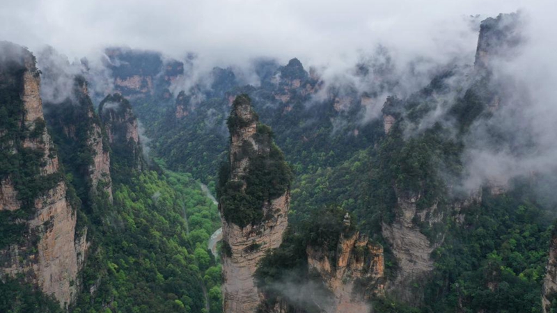 Schöne Landschaften im Nationalen Waldpark Zhangjiajie